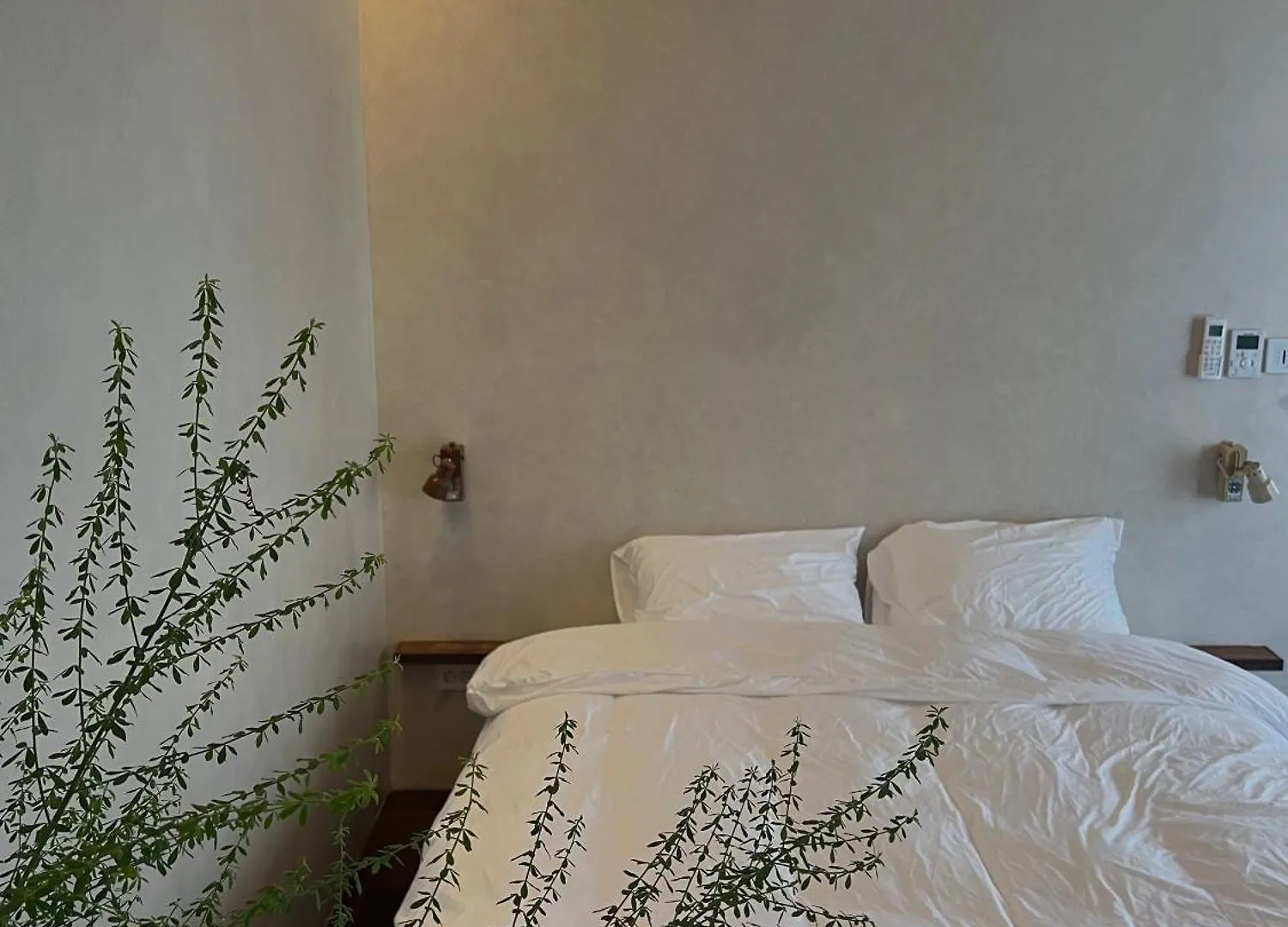 Frame Inn Busan 0*,